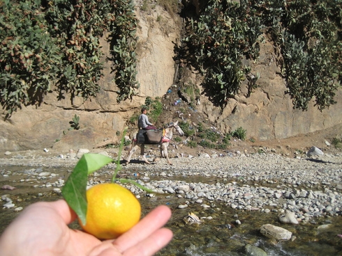 Марокко 3.11-11.11.2010