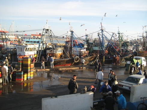 Марокко 3.11-11.11.2010