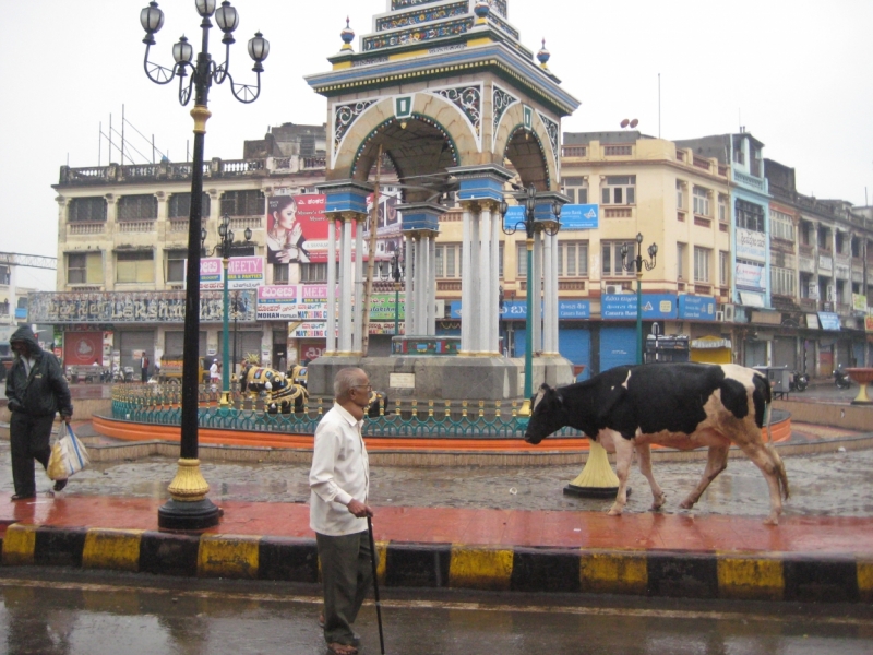 Карнатака. Бангалор - Майсур (Mysore), или страшилки про индийские автовокзалы