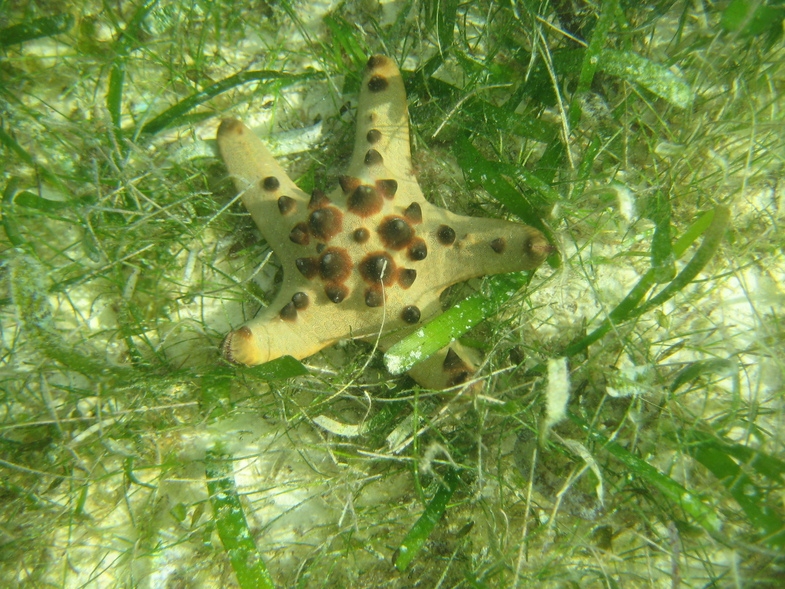 Себу-Бохол-Манила, 19-21.07.2010