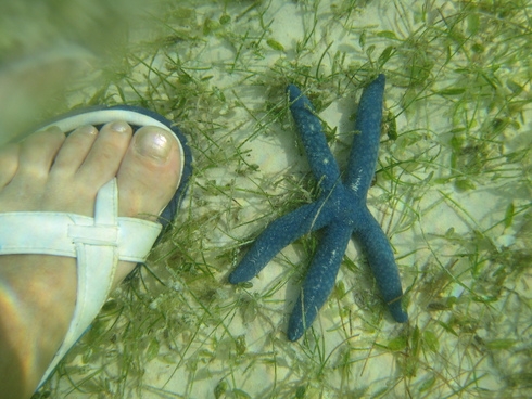 Себу-Бохол-Манила, 19-21.07.2010