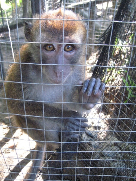 Себу-Бохол-Манила, 19-21.07.2010