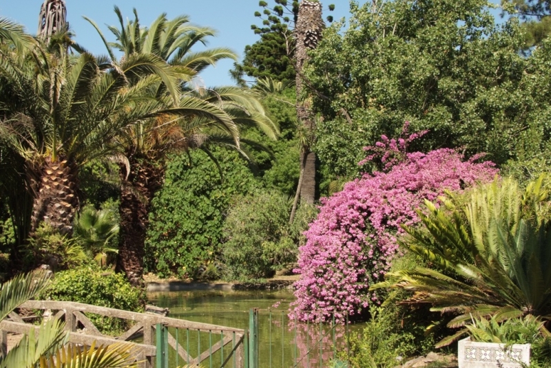 Незабываемая Португалия Июль 2014 Лиссабон, Синтра, Монсанту и еще 1500 км :)