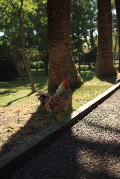 Незабываемая Португалия Июль 2014 Лиссабон, Синтра, Монсанту и еще 1500 км :)