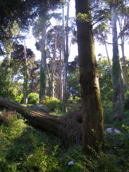 Незабываемая Португалия Июль 2014 Лиссабон, Синтра, Монсанту и еще 1500 км :)