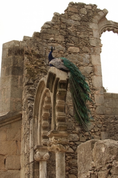 Незабываемая Португалия Июль 2014 Лиссабон, Синтра, Монсанту и еще 1500 км :)