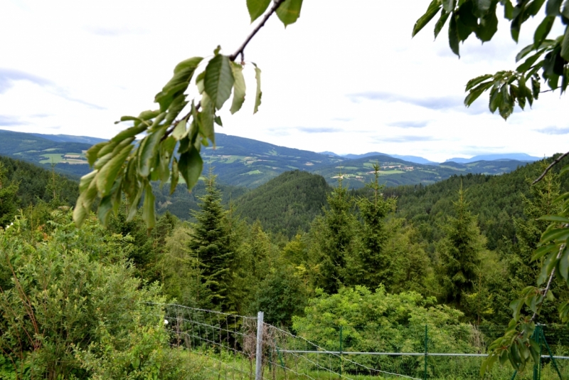 Австрия. Любовь с первого взгляда. Вена. Каринтия -озеро Вёртерзее. Брно.