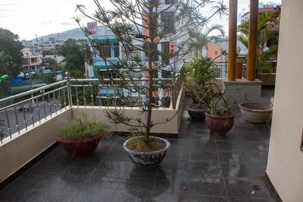 Переезд во Вьетнам.Жизнь и творчество в Нячанге.