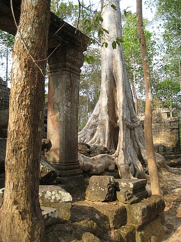 Камбоджа  - Сиам Риеп, Сиануквиль, Пном Пень 29/03-8/04 2008