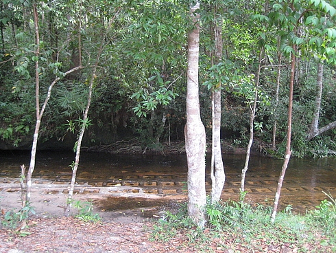 Камбоджа  - Сиам Риеп, Сиануквиль, Пном Пень 29/03-8/04 2008