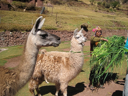 Перу в июле 2008: фотки и немного эмоций