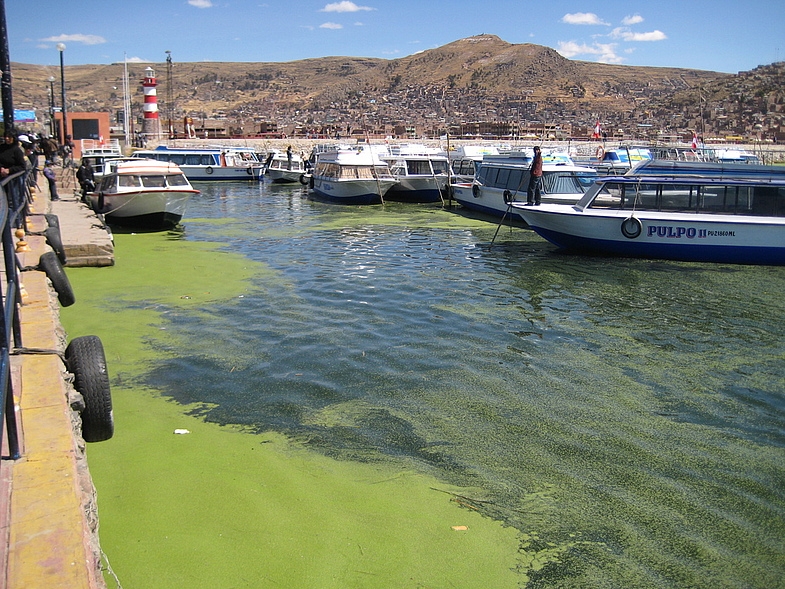 Перу в июле 2008: фотки и немного эмоций