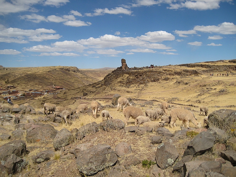 Перу в июле 2008: фотки и немного эмоций