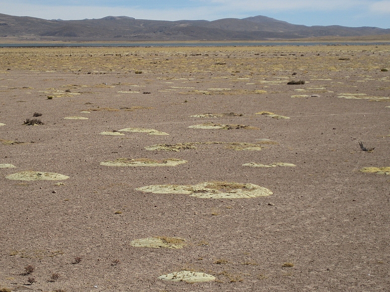Перу в июле 2008: фотки и немного эмоций