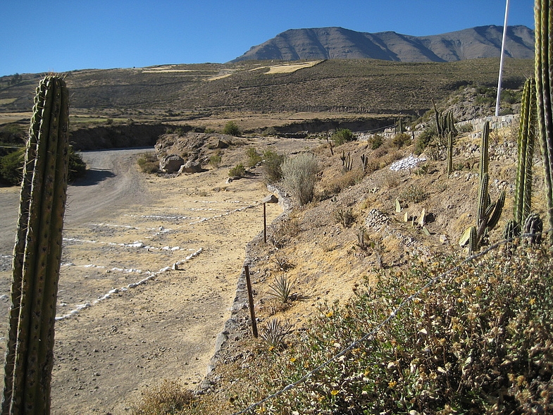 Перу в июле 2008: фотки и немного эмоций