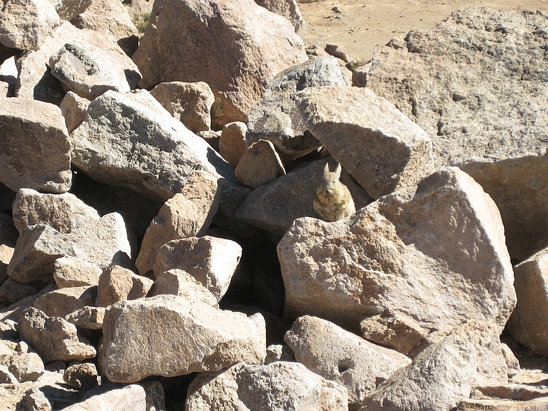 Перу в июле 2008: фотки и немного эмоций