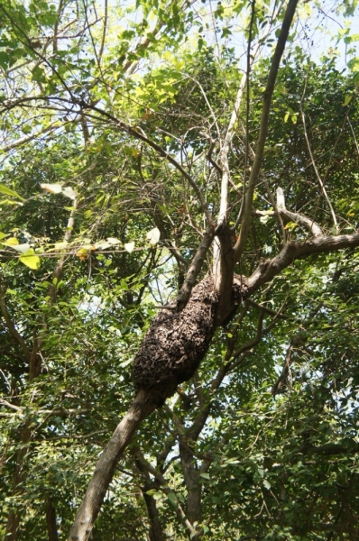 Колумбия в январе 2014