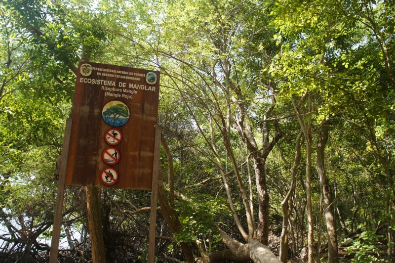 Колумбия в январе 2014