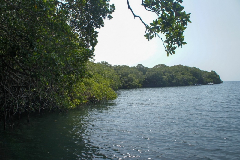 Колумбия в январе 2014