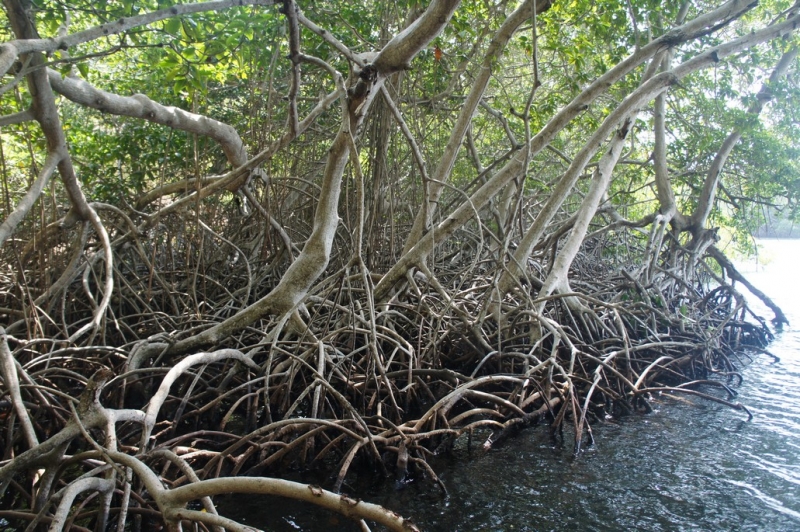 Колумбия в январе 2014