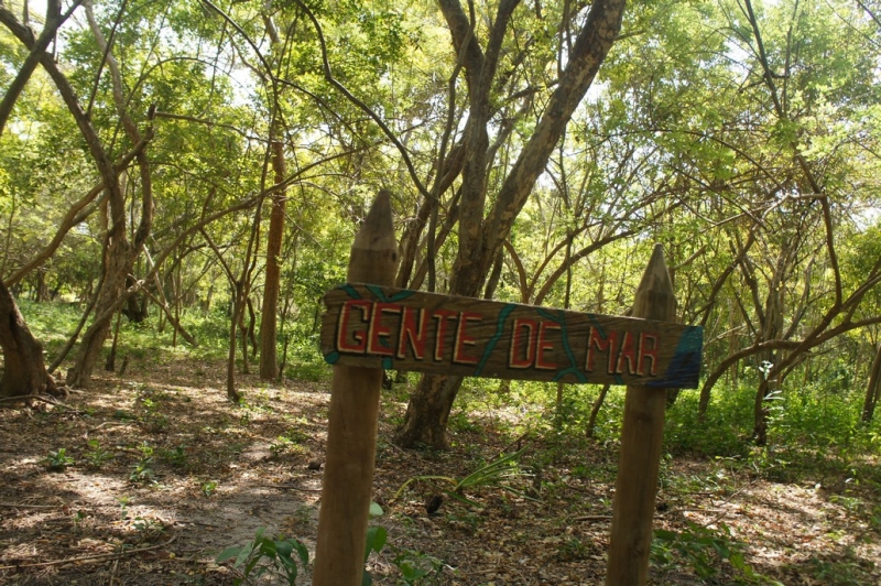 Колумбия в январе 2014