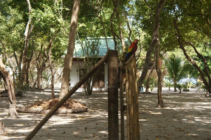 Колумбия в январе 2014