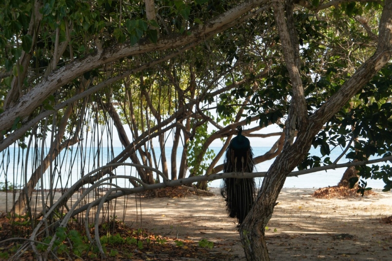 Колумбия в январе 2014