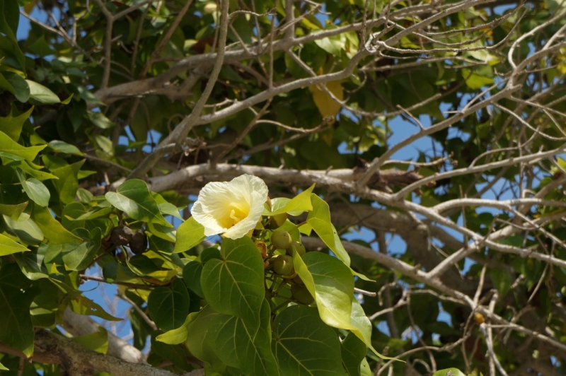 Колумбия в январе 2014