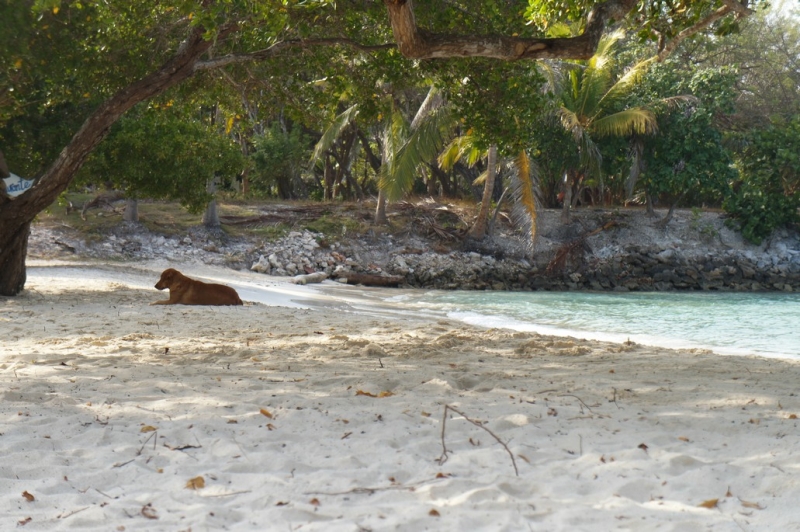 Колумбия в январе 2014