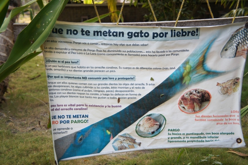 Колумбия в январе 2014