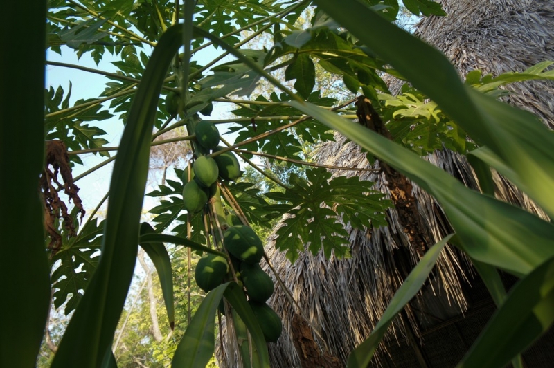 Колумбия в январе 2014