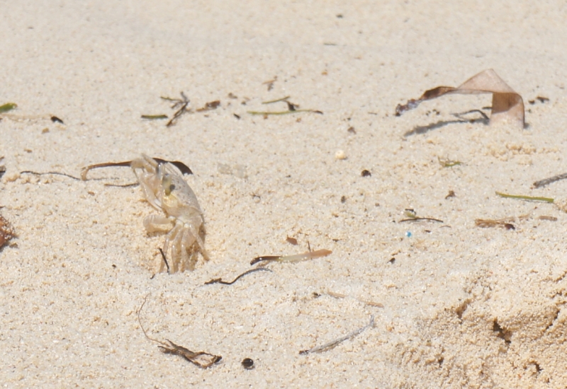 Колумбия в январе 2014