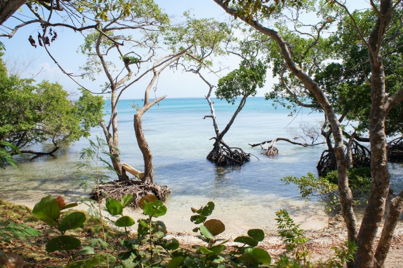 Колумбия в январе 2014