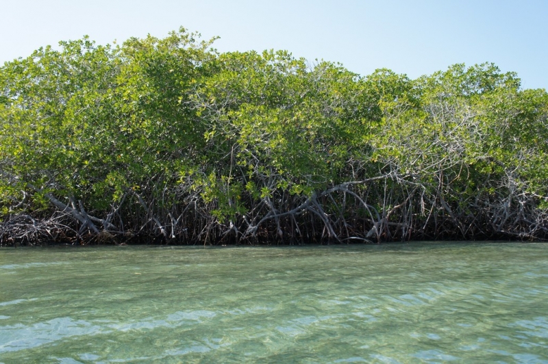 Колумбия в январе 2014