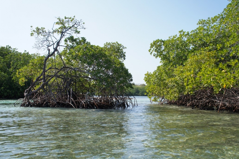 Колумбия в январе 2014