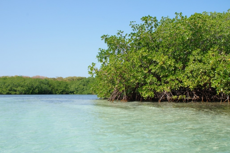 Колумбия в январе 2014