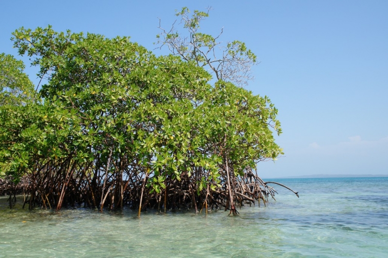 Колумбия в январе 2014