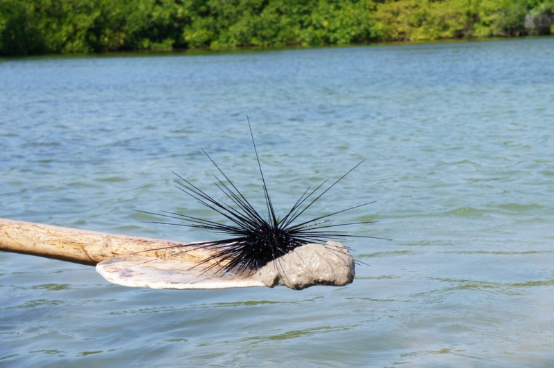 Колумбия в январе 2014