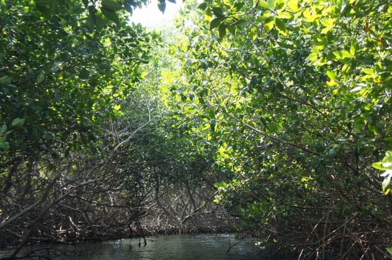 Колумбия в январе 2014