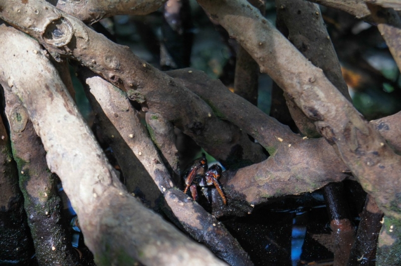 Колумбия в январе 2014