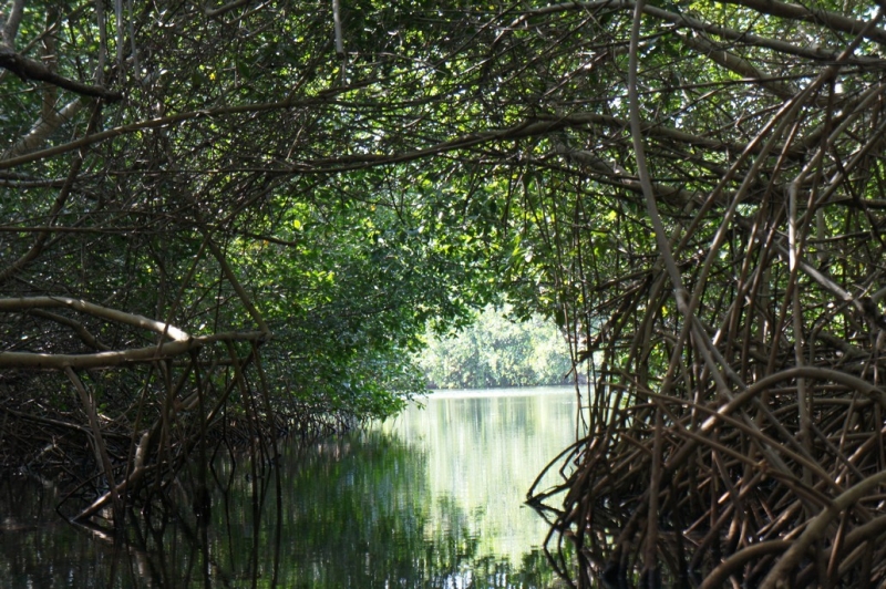 Колумбия в январе 2014