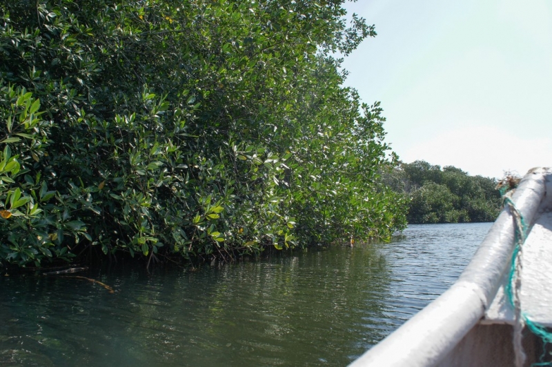 Колумбия в январе 2014