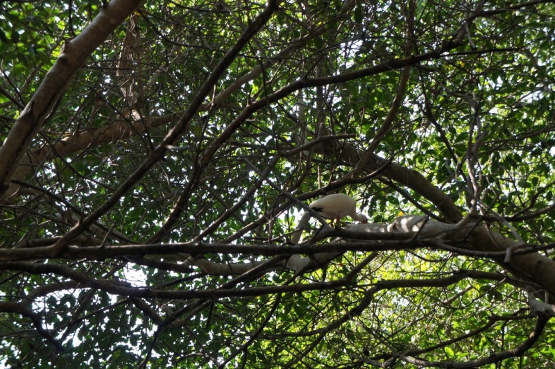 Колумбия в январе 2014