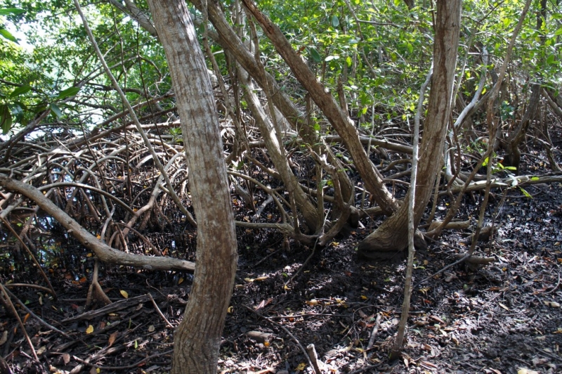 Колумбия в январе 2014