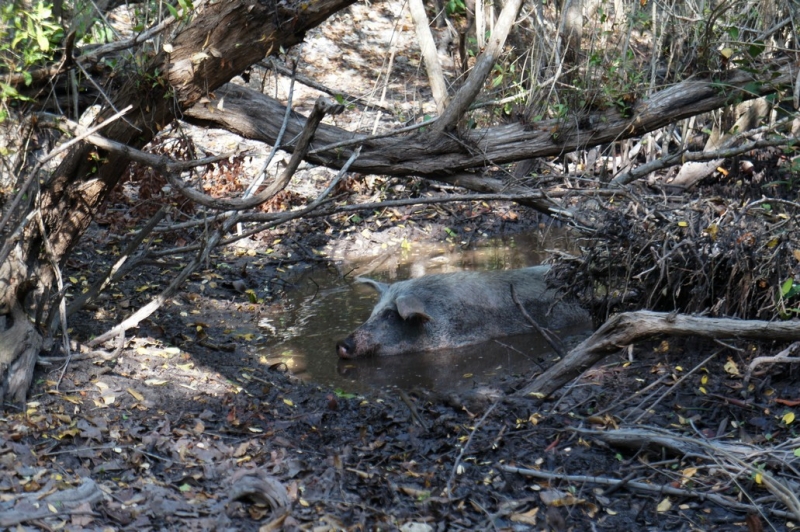 Колумбия в январе 2014