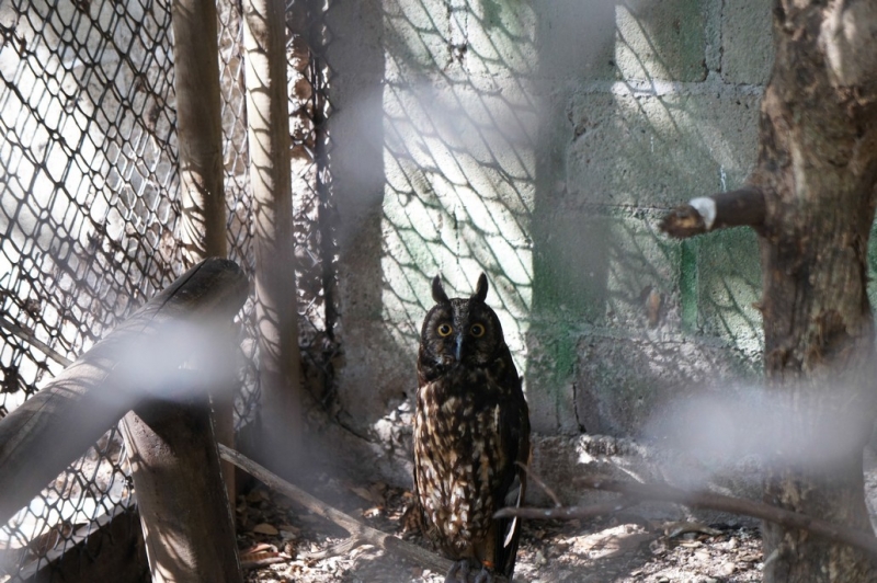 Колумбия в январе 2014