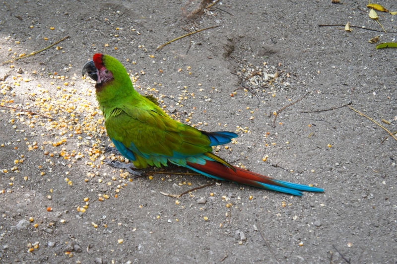 Колумбия в январе 2014