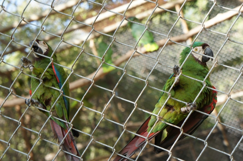 Колумбия в январе 2014