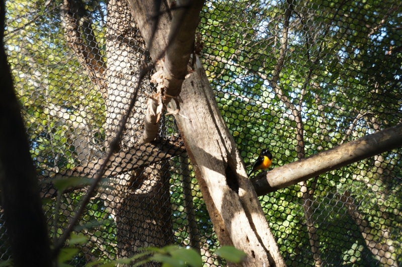 Колумбия в январе 2014