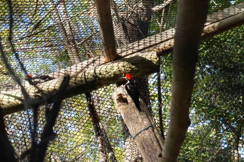 Колумбия в январе 2014